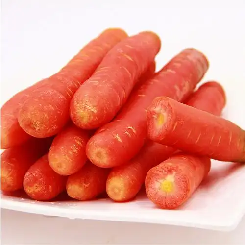 新鲜四川红皮胡萝卜农家自种蔬菜红心萝卜沙地萝卜