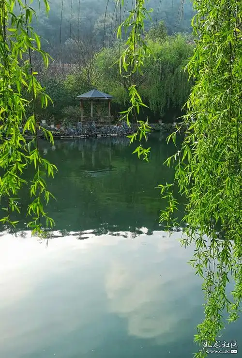 杨柳青青 春光明媚——戴着口罩去踏青