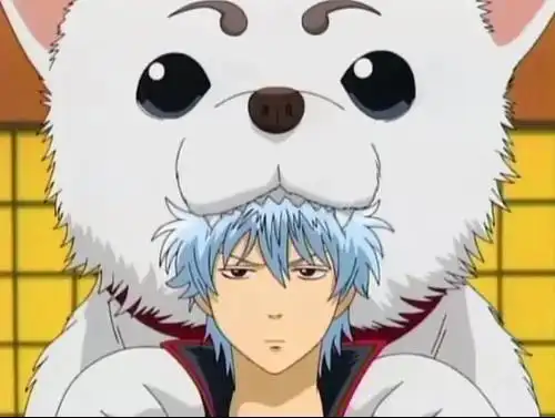 求《银魂》定春的图图