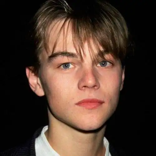 小李子 欧美男头