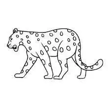 云豹怎么简笔画又漂亮