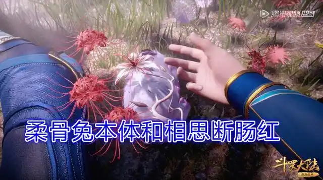 斗罗:唐三别伤心了,你送的"相思断肠红"能让小舞"起死回生"