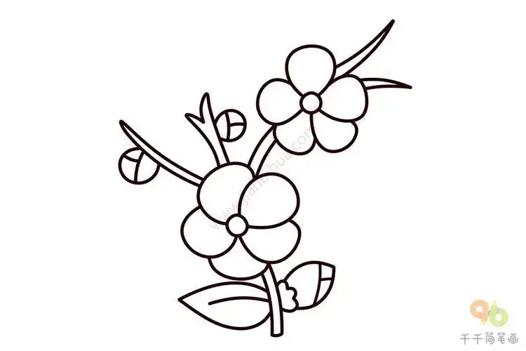 梅花简笔画正面
