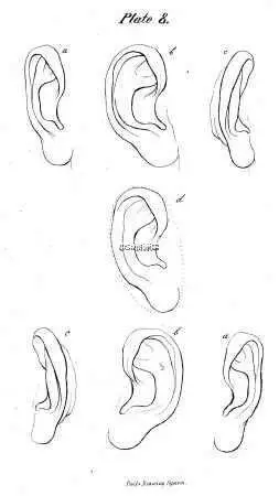 五官简笔画耳朵鼻子眼睛简笔画图片大全简笔画耳喉鼻耳朵简笔画老头