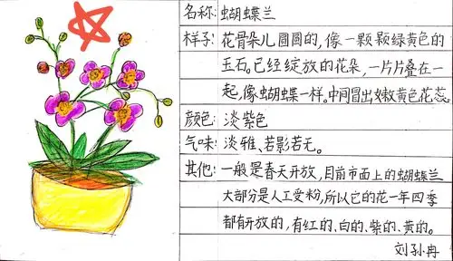 "我们的植物朋友"记录卡