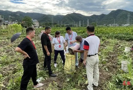 铅山县湖坊镇西山村:推动特色农业高质量发展