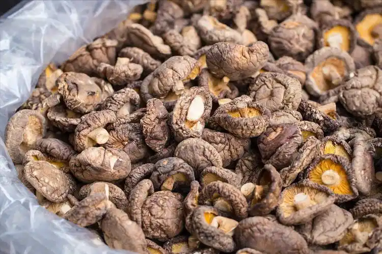 泡发干香菇,别只会用清水,再多放2样,泡发干净快速,肉质肥美