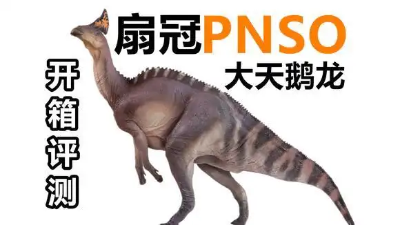 开箱一个你没有见过的恐龙模型,pnso扇冠大天鹅龙开箱评测!