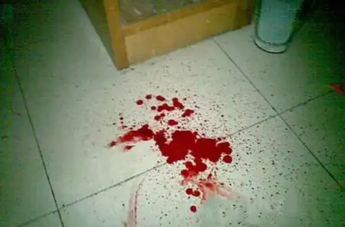 一位被继父残杀的5岁女孩,附到了她的玩具娃娃上面,让我的女儿为她伸