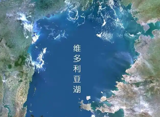 米金戈岛的源起