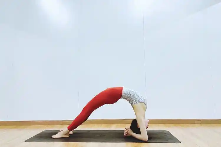 瑜伽后弯