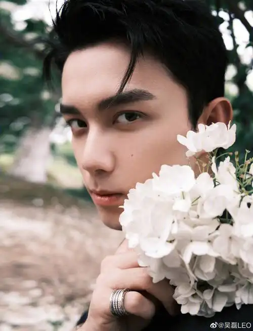 吴磊参演的一些影视作品分享//7878