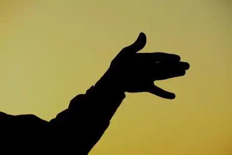 手做影子动物剪纸做 手工剪纸图片大全简单-蒲城教育文学网