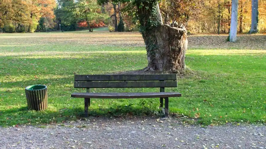 公园里的长椅图片(10/11)