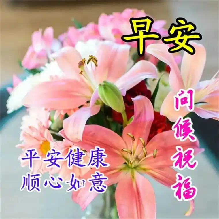 5月15日周一早上好新的一周新的开始精选温馨早安问候语图片带字带