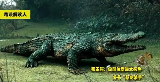 帝王鳄史前体型最大鳄鱼外号恐龙杀手