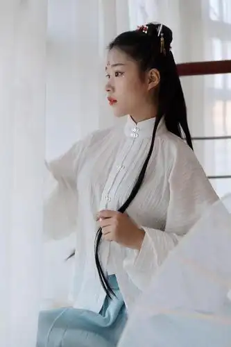 汉服立领对襟琵琶长袖明制内搭提花日常汉族汉服