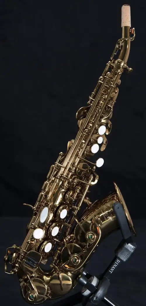 高音萨克斯 dss-800zws