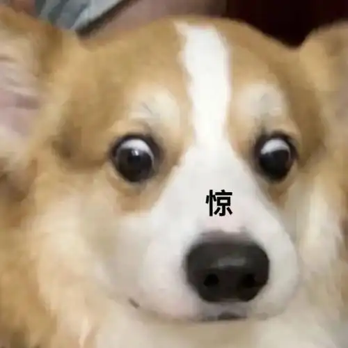 聊天加点儿沙雕表情包?