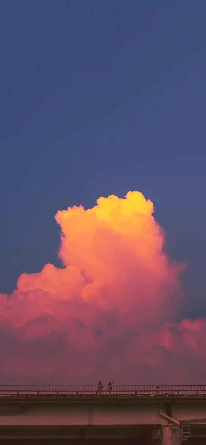 首页 手机壁纸 风景 唯美晚霞摄影高清手机壁纸1242_2688竖版 竖屏