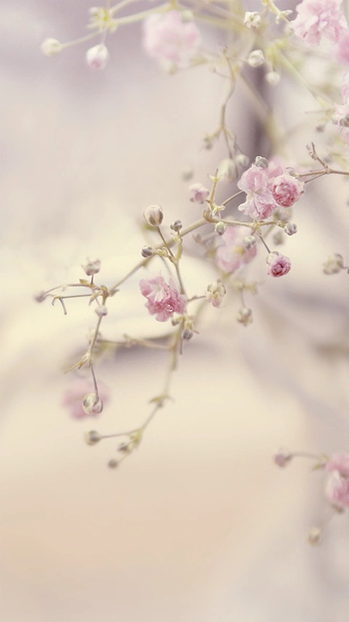 唯美浪漫背景图