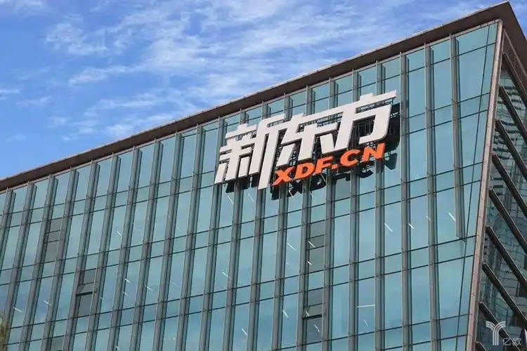 新东方系创业者群像:更爱团队作战,情怀也可当饭吃