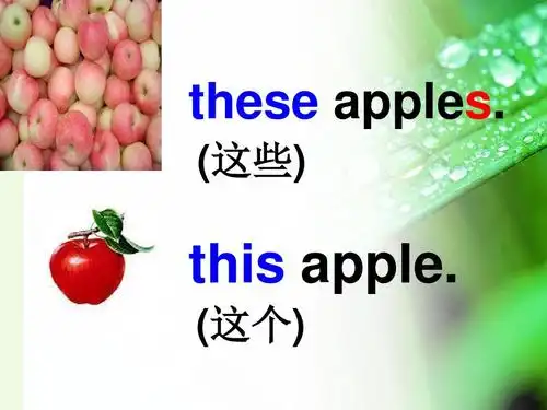 二年级英语上册module4unit2hedoesntlikethesetrouse