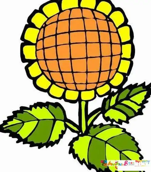 植物简笔画大全,向日葵简笔画