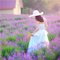 薰衣草女生意境头像
