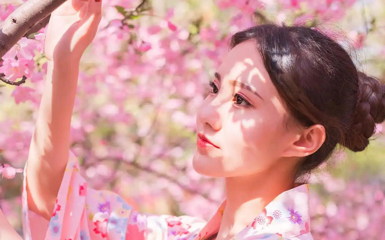 日系轻熟女户外和服樱花树下唯美写真壁纸