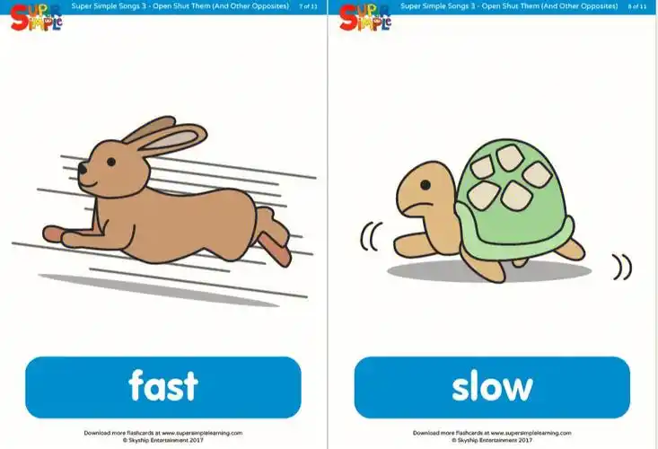 31认知卡反义词