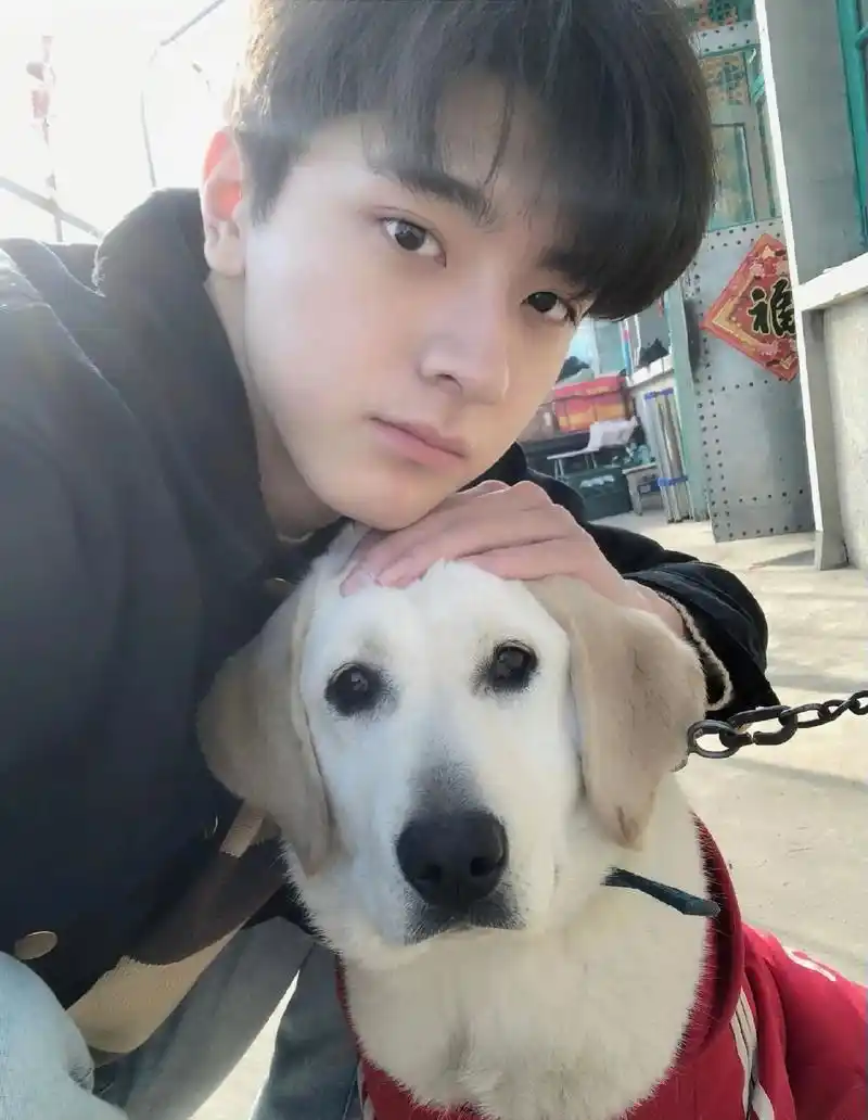 林一 #小说男主脸 - 抖音