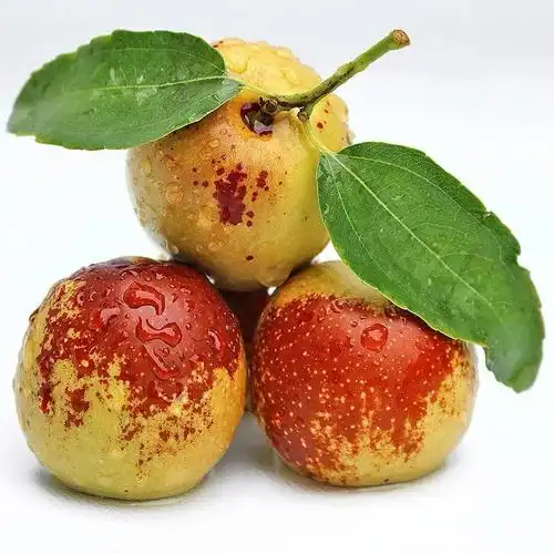 【现摘现发】沾化冬枣小号枣新鲜水果带箱5斤脆甜鲜枣