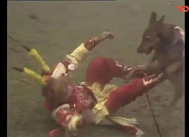 86版《西游记》哮天犬原来有两只,六小龄童险些被撕咬!