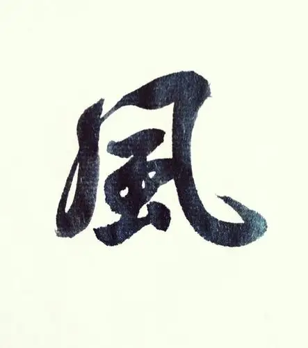 学习书法遇见的最难写的字之一"风",四种书体