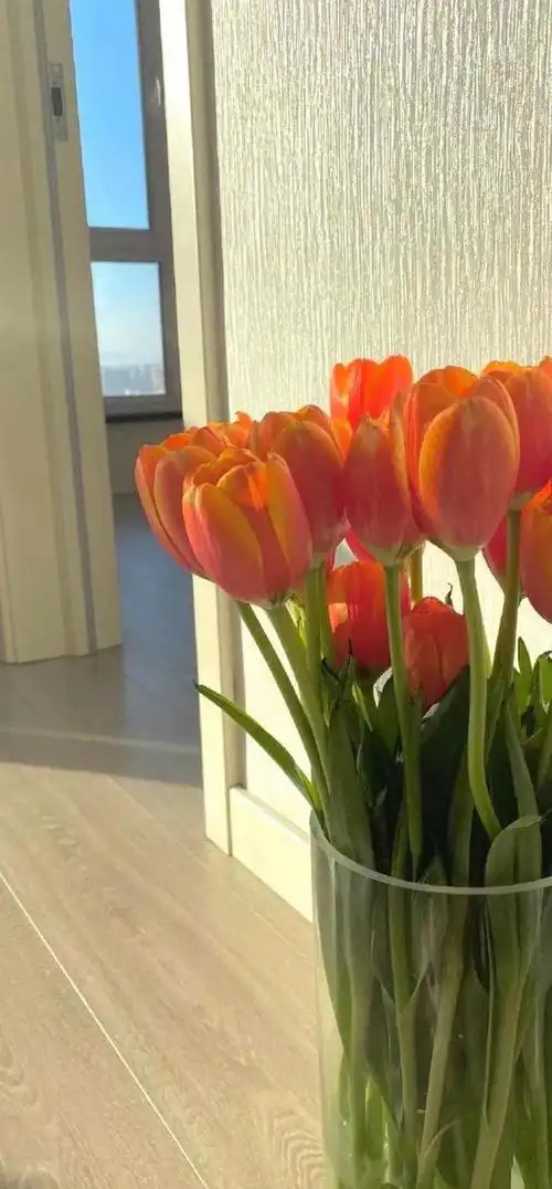 包含好看的壁纸ins风的词条