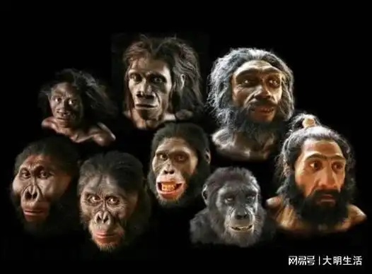 这也意味着,在地球上,目前的智慧生物就只有智人的后裔——现代人类