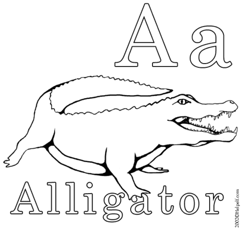 color-a-aligator