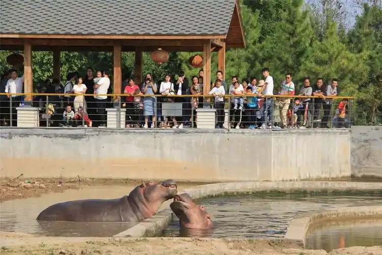 犀牛河马馆-动物展区-园区展示-黄河三角洲动物园