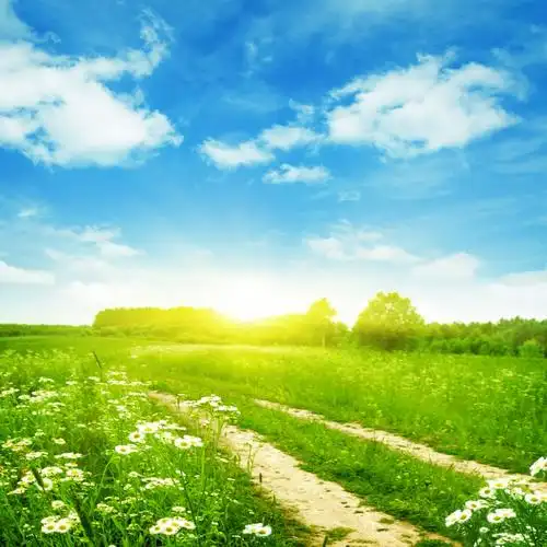 春天草地景色图片第3张