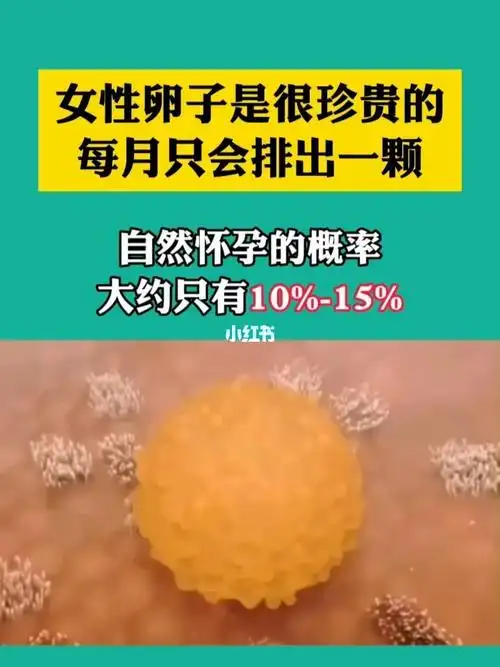 女性卵子是很珍贵的每月只会排出一颗