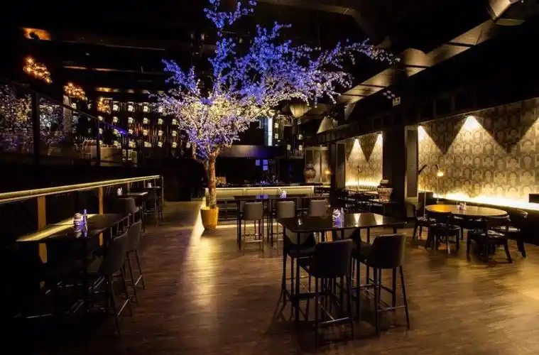 巴拿马latana酒吧