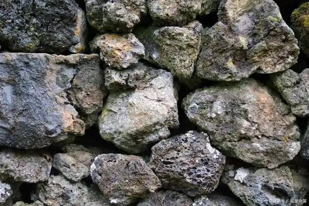 一文介绍铜矿石进口报关所有单证详解