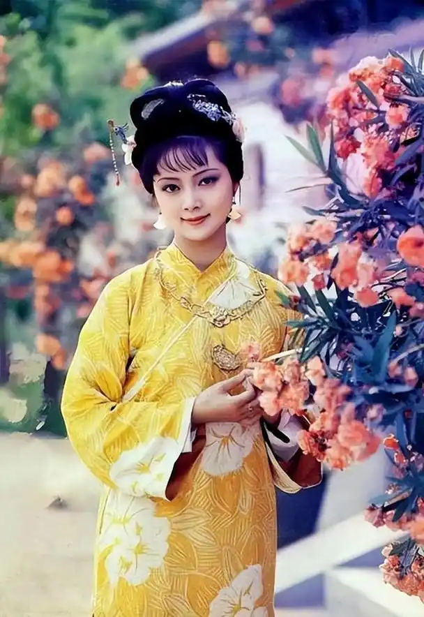 红楼梦王夫人是真善人(王夫人想办一所家塾)(5)