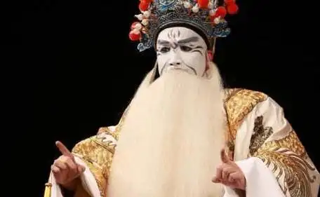 在小说和衍生的戏剧当中,司马懿都是以白脸奸臣形象出现的,奸诈狡猾