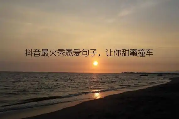 抖音最火秀恩爱句子,让你甜蜜撞车-语录网