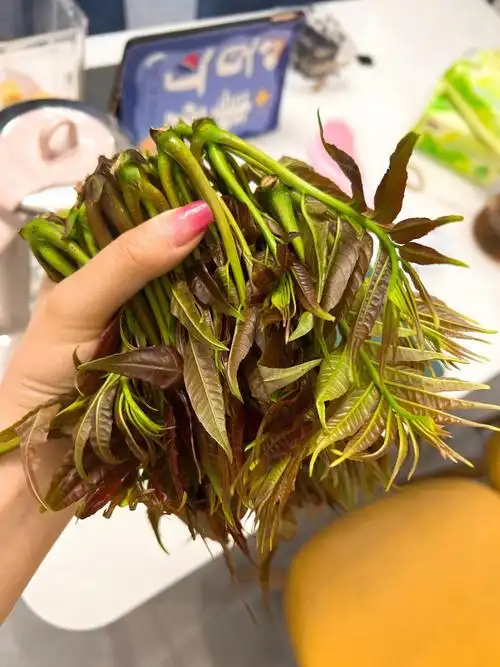 春天真是吃香椿最好的时节