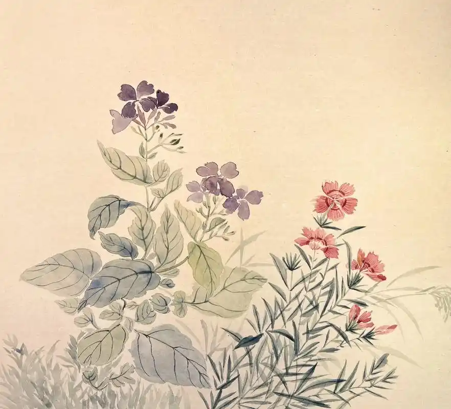 013 没骨画初学临摹 |恽寿平双花图 #国风古韵 #没骨画 - 抖音