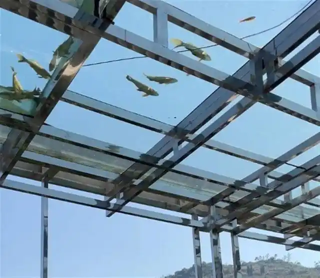 透明玻璃的屋顶上,设计了一个景观鱼池,坐在阳台上晒太阳时,既可以