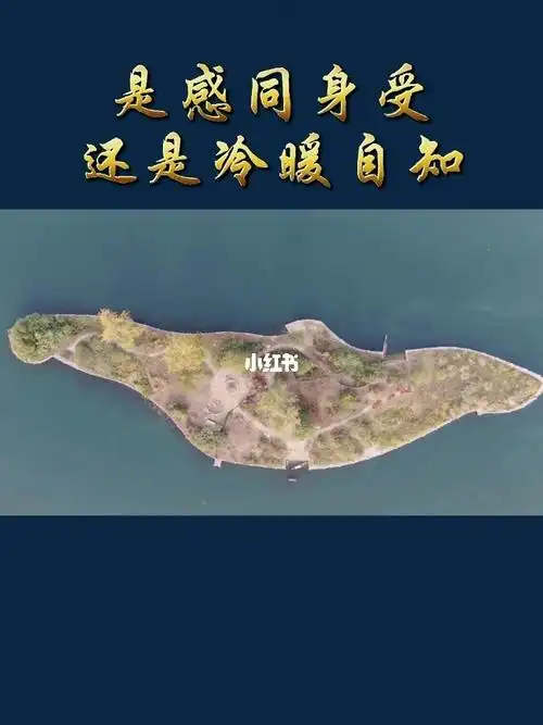 人生是感同身受还是冷暖自知